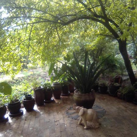 Casablanca Villas Nairobi Eksteriør billede